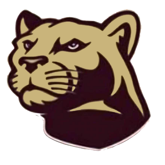 Preorder (moq 5)Baby Boys Lions Top Brown Checked Shorts Team Clothes Sets