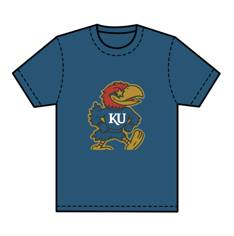 preorder(moq 5) Baby Boys Blue Short Sleeves Eagles KU Team Tee Shirts Tops