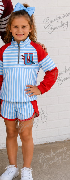 Preorder (moq 5)Baby Girls Blue Stripe Zip Pullovers Short Team Clothes Sets