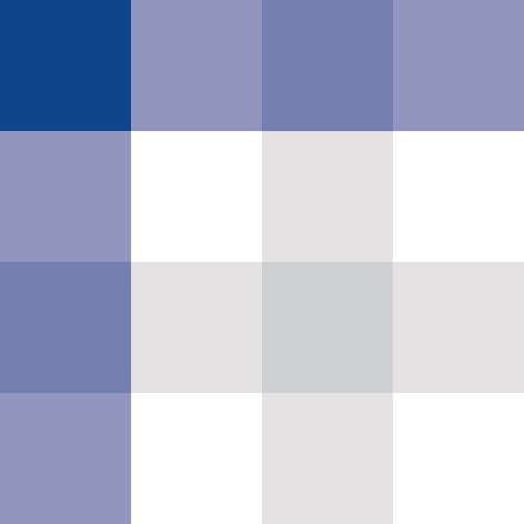 Preorder (moq 5)Baby Boys Memphis Tigers Top Blue Checked Shorts Team Clothes Sets