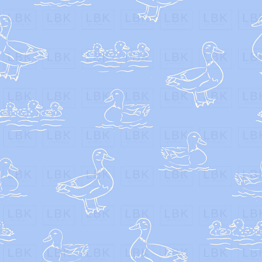 Baby Boys Blue Long Sleeve Ducks Hunting Rompers Preorder