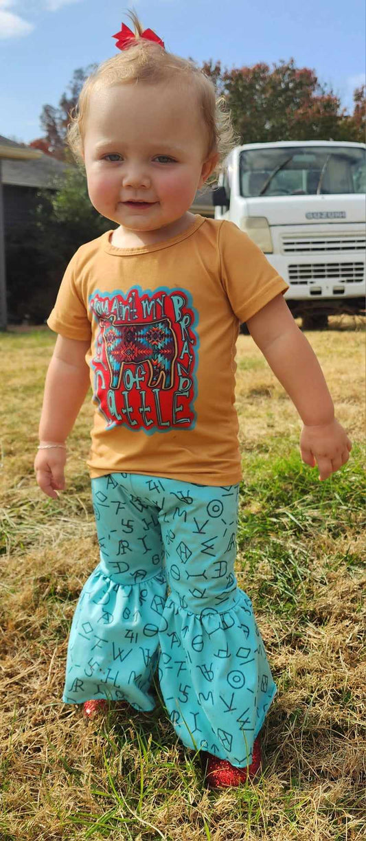 You ain't my brand of Cattle western set