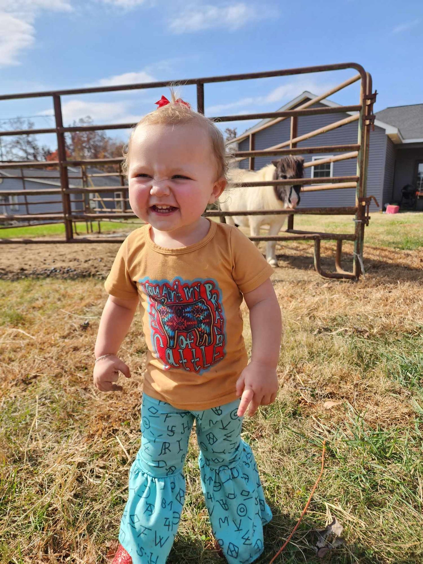 You ain't my brand of Cattle western set