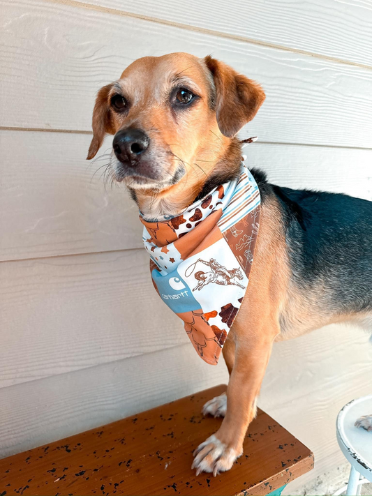 Western Dogs Cute Cactus Bandanas preorder(moq 5)