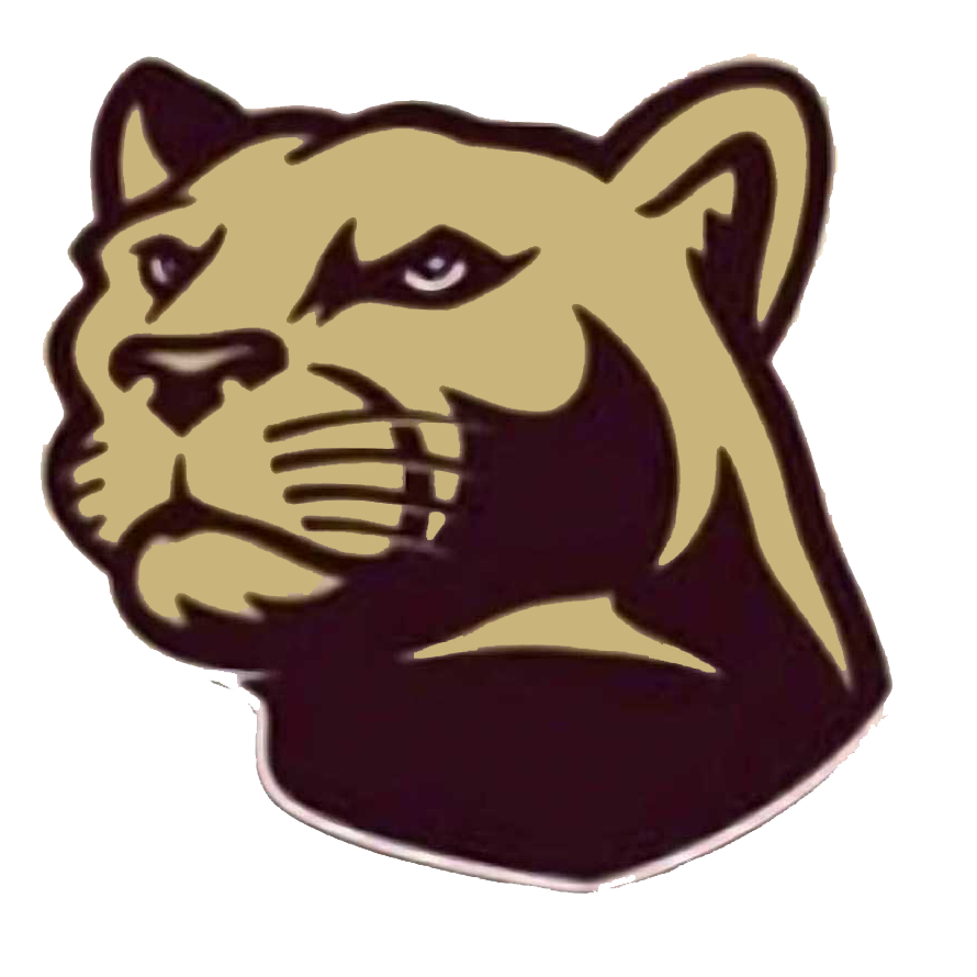 Preorder (moq 5)Baby Boys Lions Top Brown Checked Shorts Team Clothes Sets