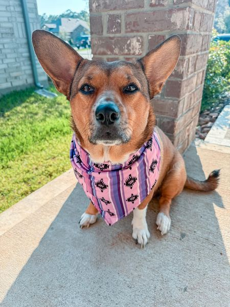 Western Dogs Cute Aztec Bandanas preorder(moq 5)