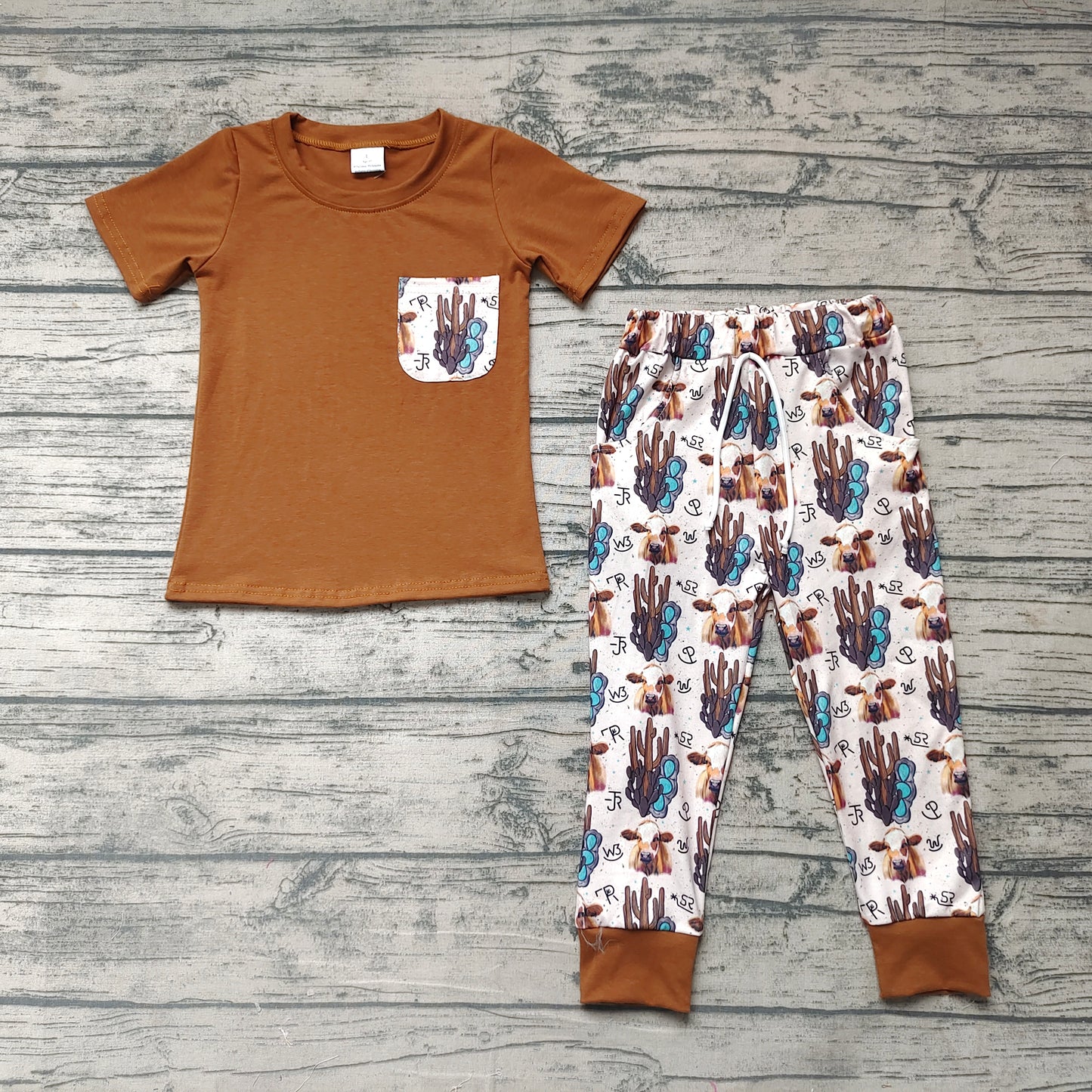 Baby Boys Brown Tee Shirt Pants Sets