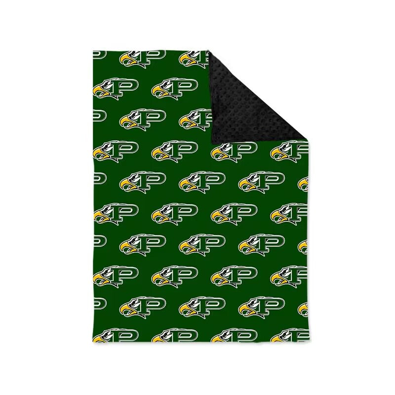 Baby Girls Boys Eagles Team Minky Blankets preorder(moq 5)