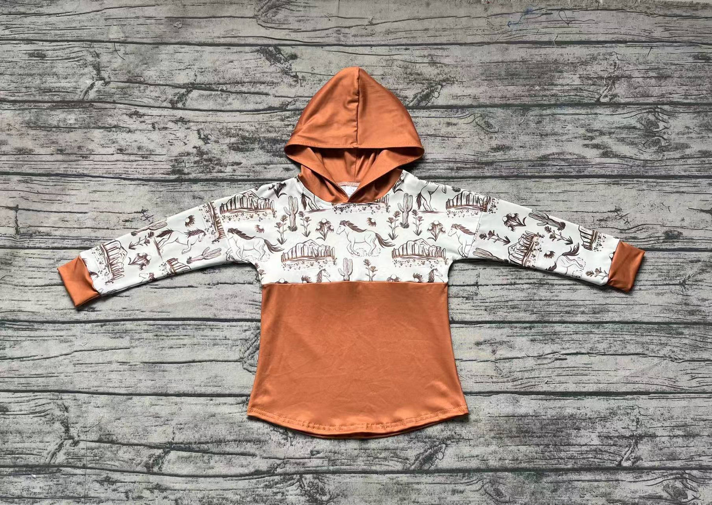 Baby Boys Western Horse Cactus Hooded Long Sleeve Tee Tops