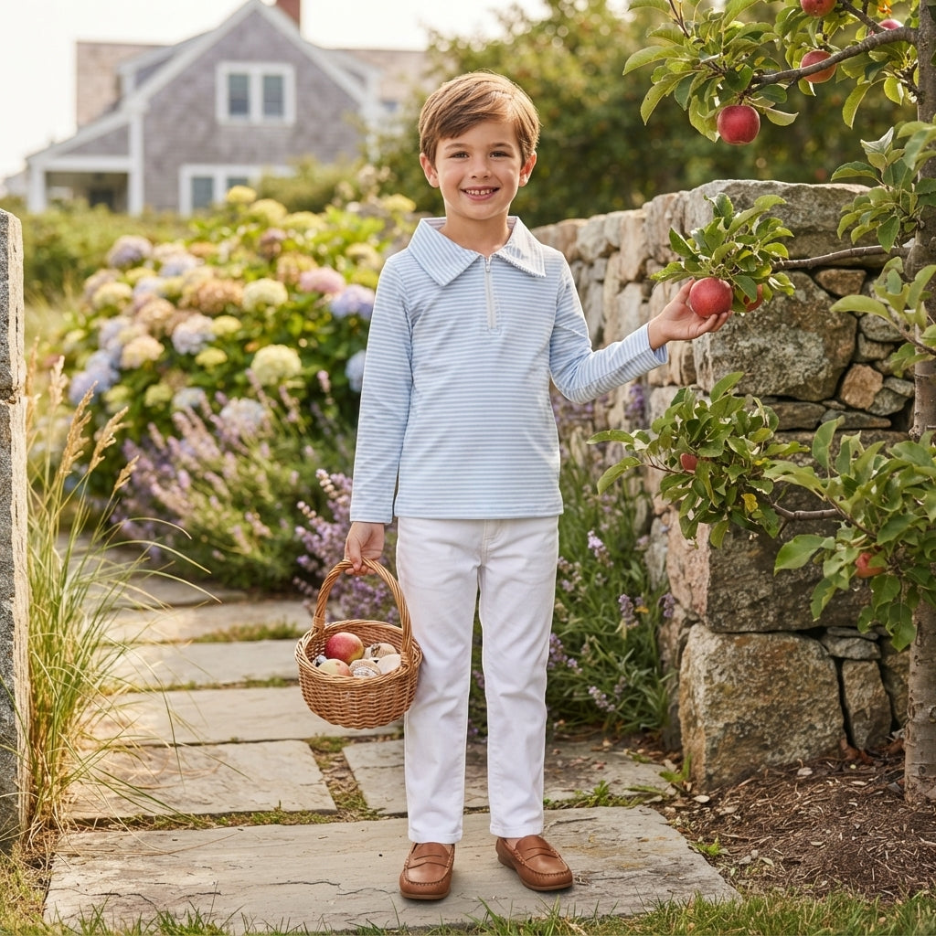 Baby Boys Long Sleeve Light Blue Stripe Zip Pullovers Top