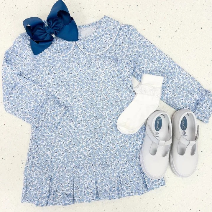 Baby Girls Blue Floral Ruffle Collar Knee Length Dresses Preorder