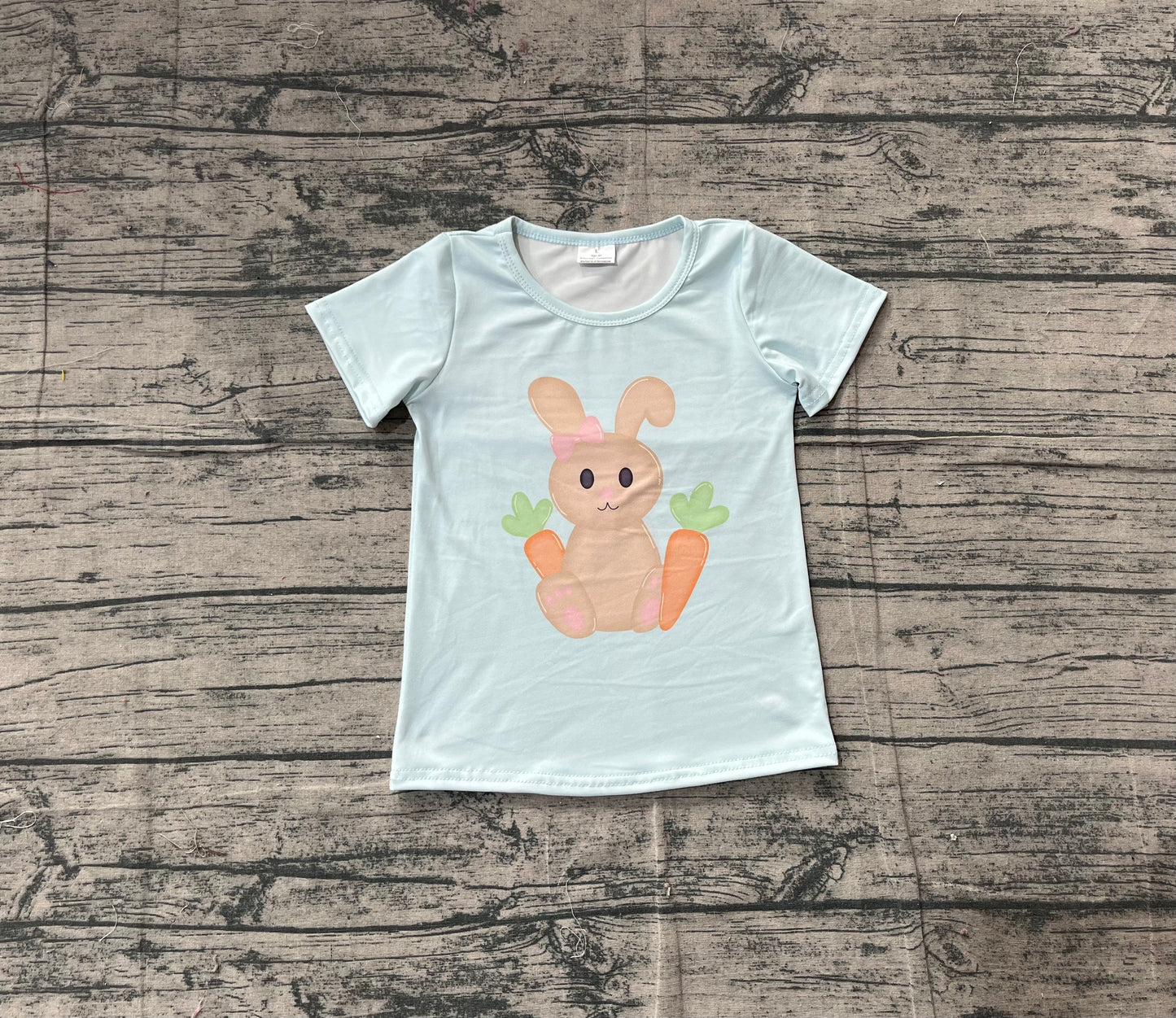 Baby Girls Aqua Short Sleeve Rabbits Carrots Easter T-shirts Top Preorder
