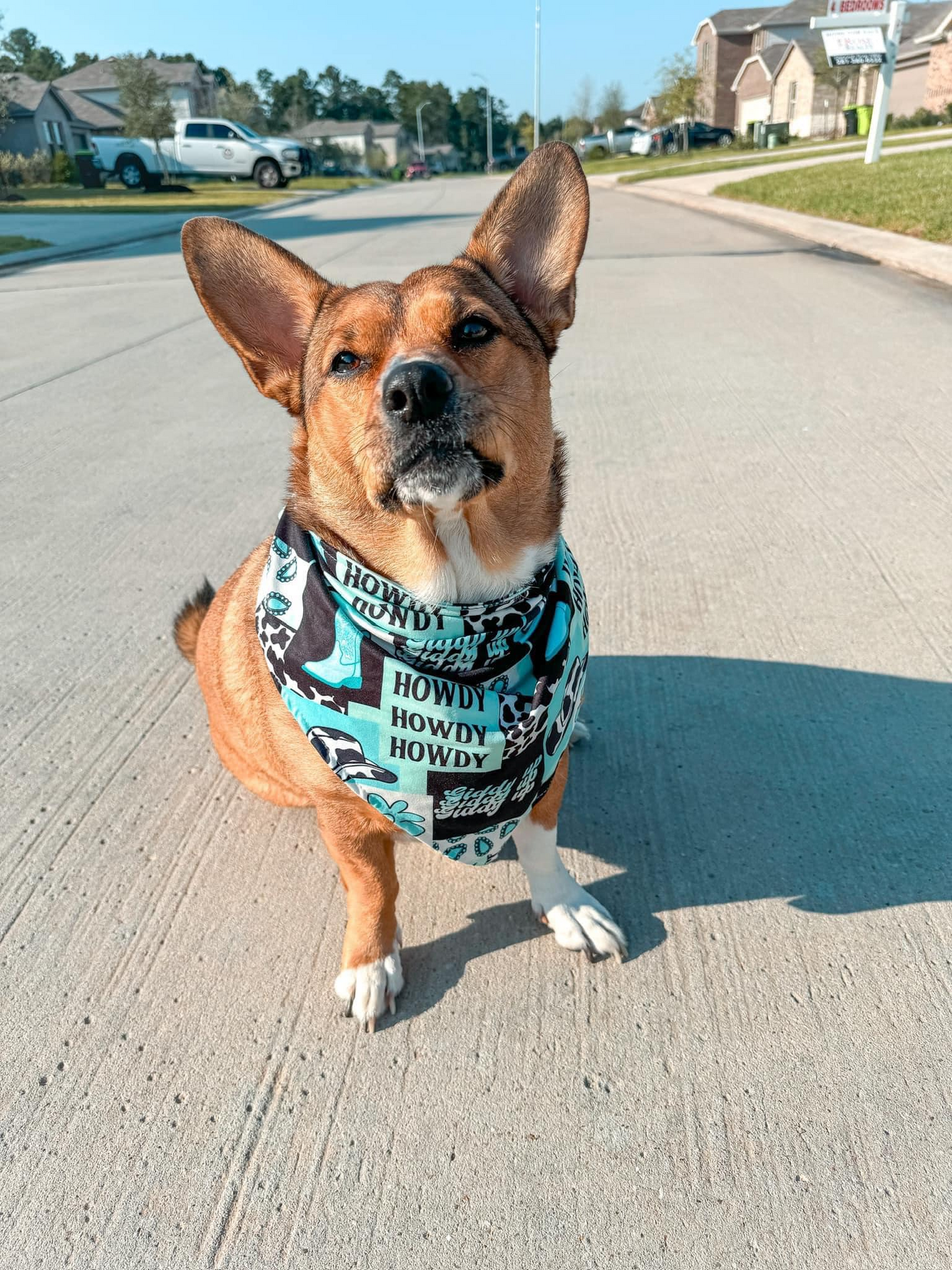 Western Dogs Cute Howdy Bandanas preorder(moq 5)