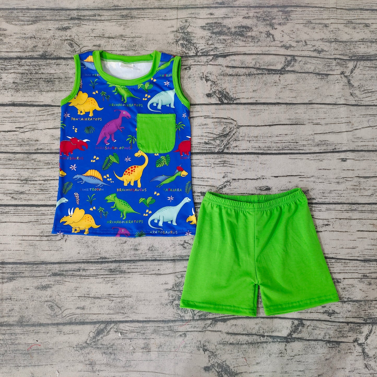 Baby Boys Summer Sleeveless Dinosaur Top Shorts Clothes